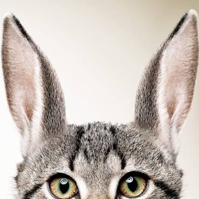 ED75D1F1-4620-4E15-9B58-BEFAE217CD29